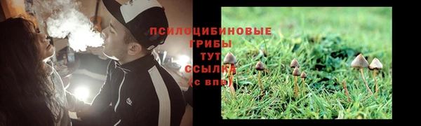прущие крисы Белокуриха
