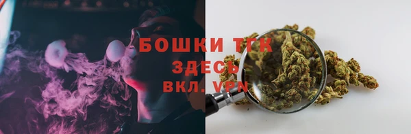 прущие крисы Белокуриха