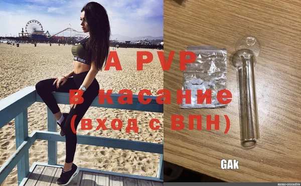 крисы Белоозёрский