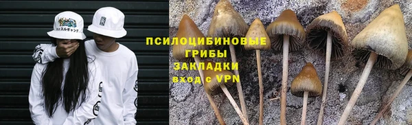 прущие крисы Белокуриха
