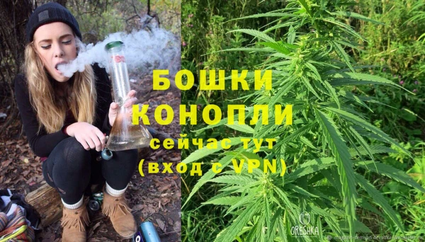 крисы Белоозёрский
