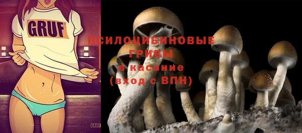 крисы Белоозёрский