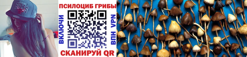 Псилоцибиновые грибы ЛСД  нарко площадка формула  Горячий Ключ 