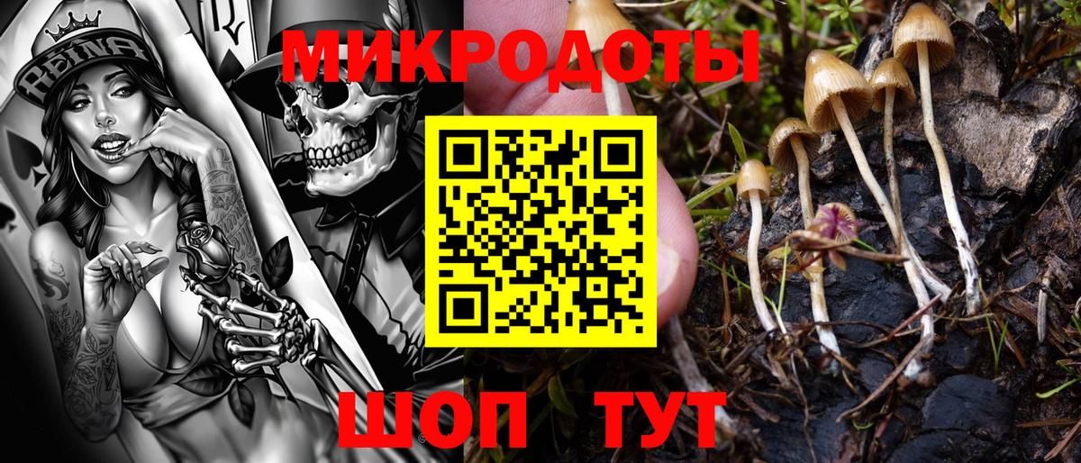 Галлюциногенные грибы GOLDEN TEACHER  Вход с VPN  Горячий Ключ  Псилоцибиновые грибы Psilocybine cubensis 