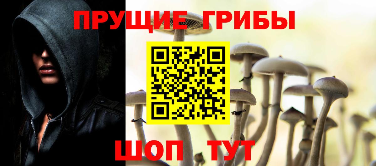 Псилоцибиновые грибы прущие грибы Горячий Ключ